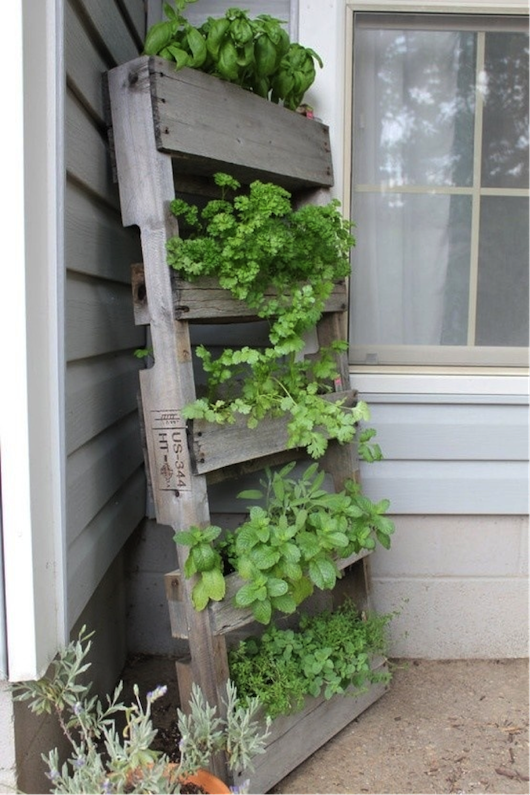 Herb Planter on Balcony