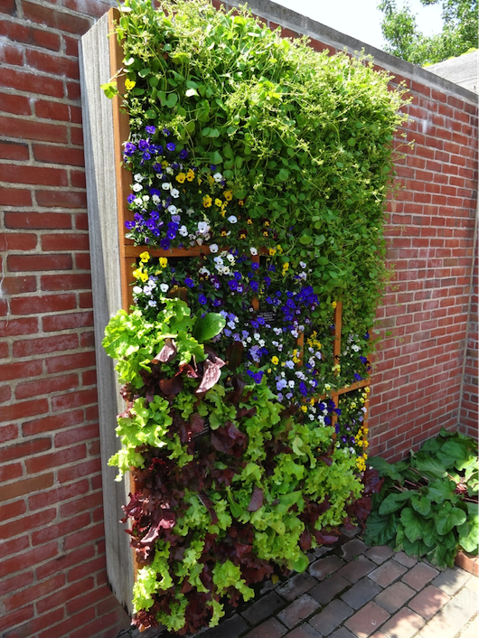 Indoor Gardening in Shared Yard