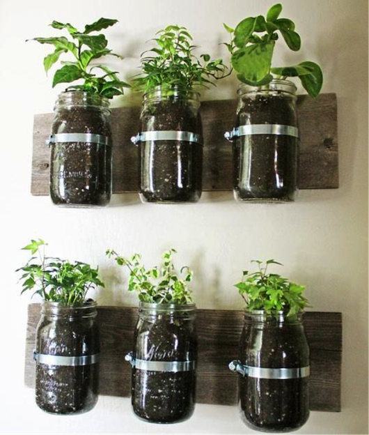 Kitcehn Herb Jars