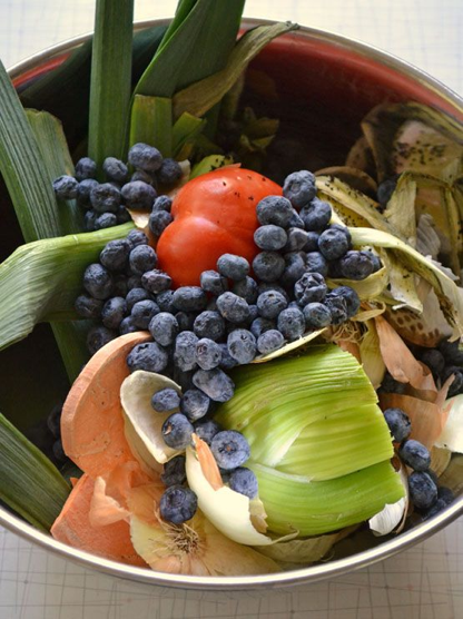 Compost Bucket