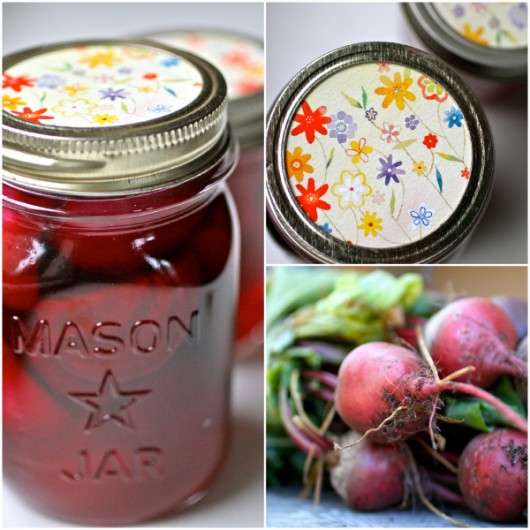 Pickled Beets Recipe | Talk of Tomatoes