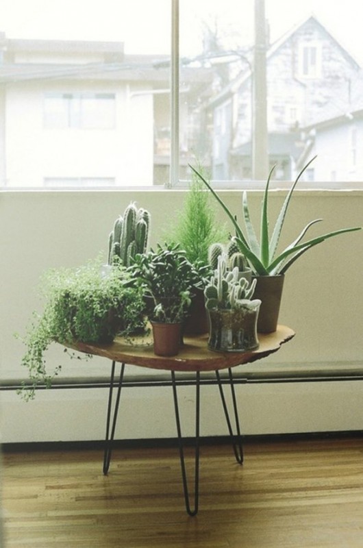 Checks and Spots | Inspiration: Decorating with Indoor Plants