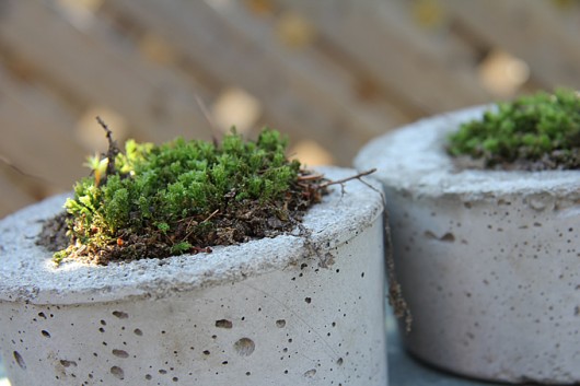 Little House Blog | DIY Concrete Planters