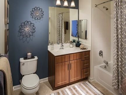 Avalon Ossining Bathroom