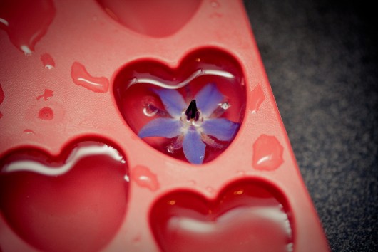 Floral Ice Cubes