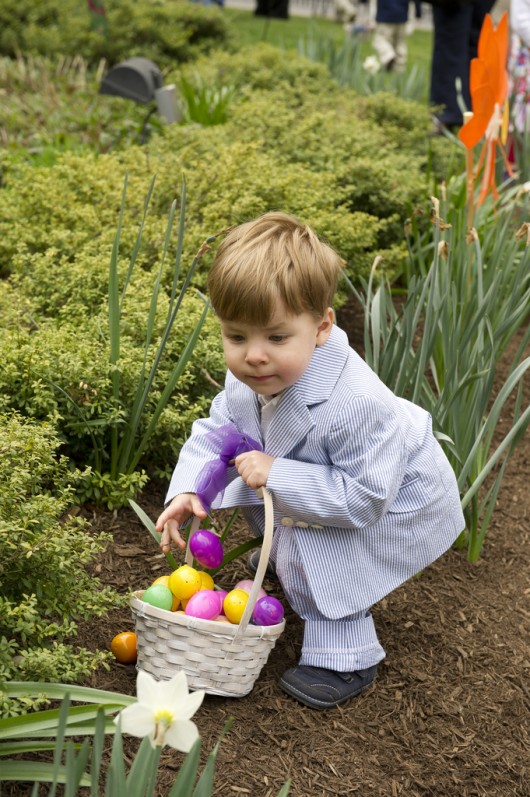 Easter Egg Hunt Easter Egg Hunt