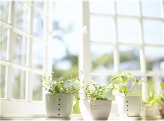 apartment window