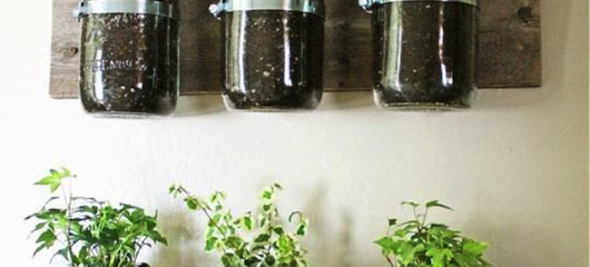 Kitchen Herb Jars