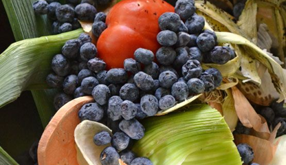 compost bucket