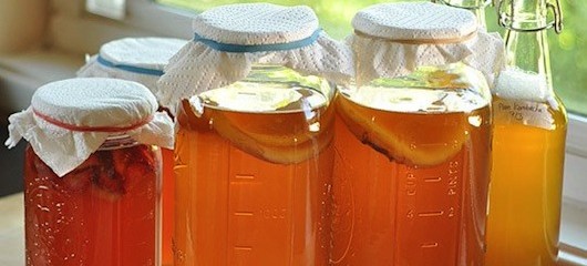 plain kombucha