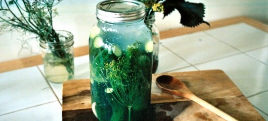 Lacto-Fermented Dill Pickles | Witchin' in the Kitchen