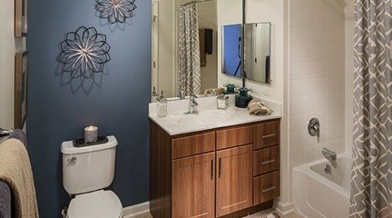 Avalon Ossining Bathroom