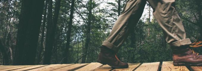 man hiking in the woods