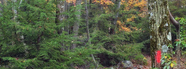 Hiking Trail