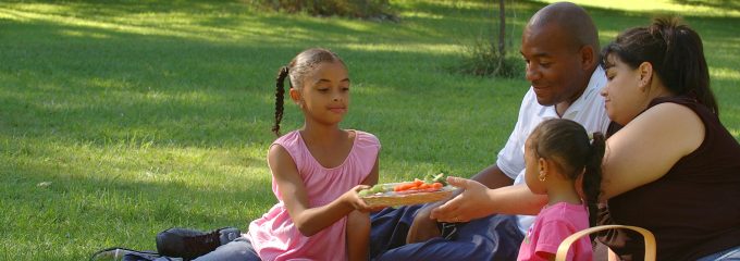 Family Picnic