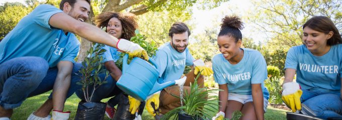 volunteers planting